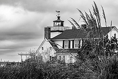 Nayatt Point Light in Tall Grass BW